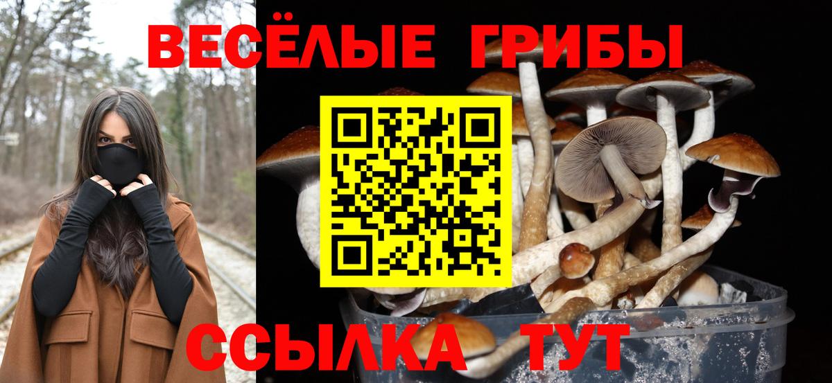 Галлюциногенные грибы GOLDEN TEACHER  где продают   Кузнецк  Вход с VPN 