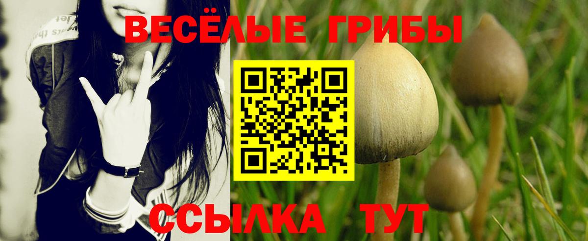 Галлюциногенные грибы мухоморы Кузнецк